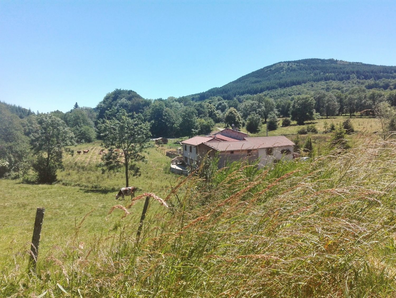 Moulin rénové en Auvergne avec salle de séminaire et chambres