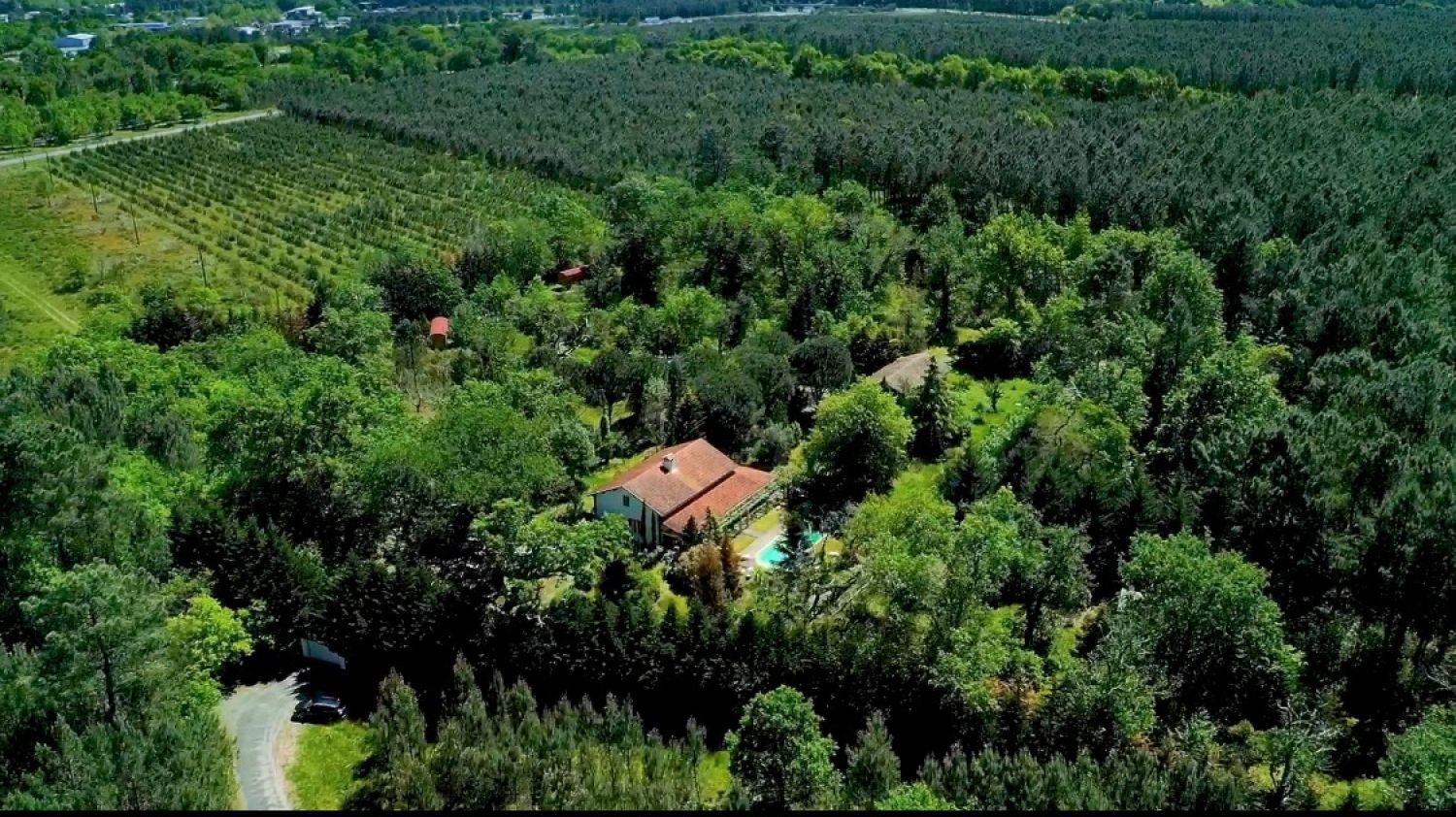 Unusual estate and lodges in the middle of the forest