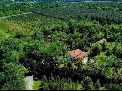 Unusual estate and lodges in the middle of the forest