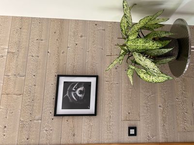 House in the country