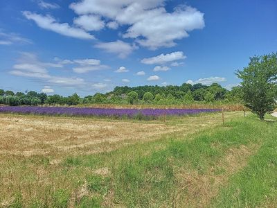 MAS provencal swimming pool
