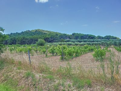 MAS provencal swimming pool