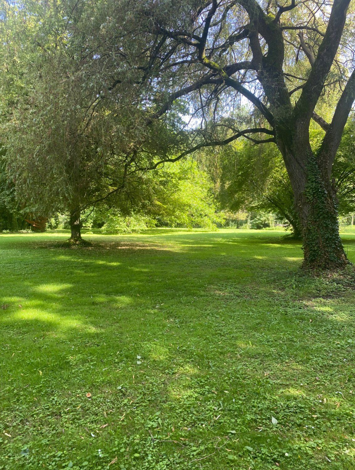 6000m² garden with access to an arm of the Charente river
