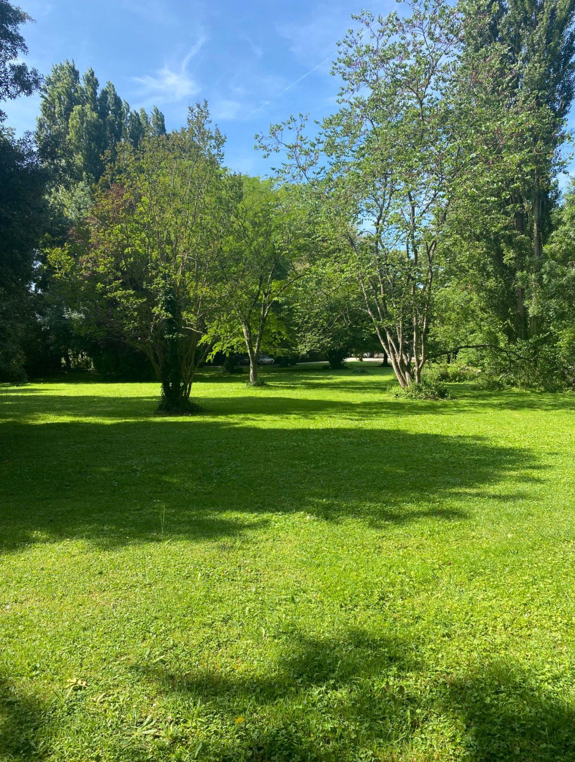6000m² garden with access to an arm of the Charente river