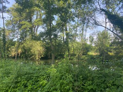 6000m² garden with access to an arm of the Charente river