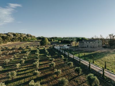 Somptuous Appartment in Montpellier