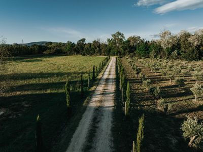 Somptuous Appartment in Montpellier