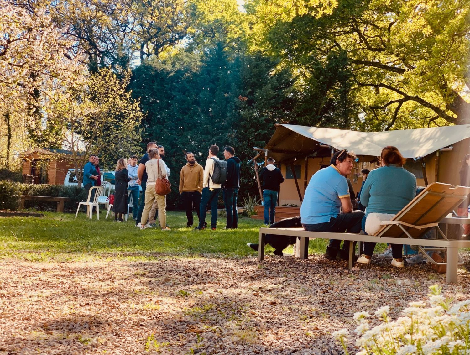 Guest House & Event Venue in Vaucluse with Treehouse & Wellness Chalet