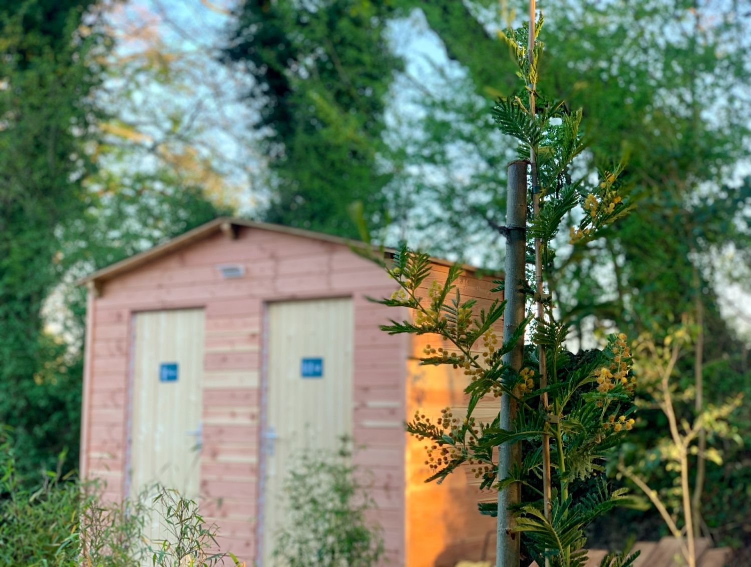 Guest House & Event Venue in Vaucluse with Treehouse & Wellness Chalet