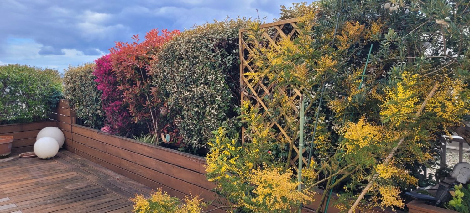 100 m² terrace with panoramic view of Lyon