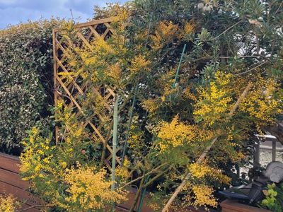 100 m² terrace with panoramic view of Lyon