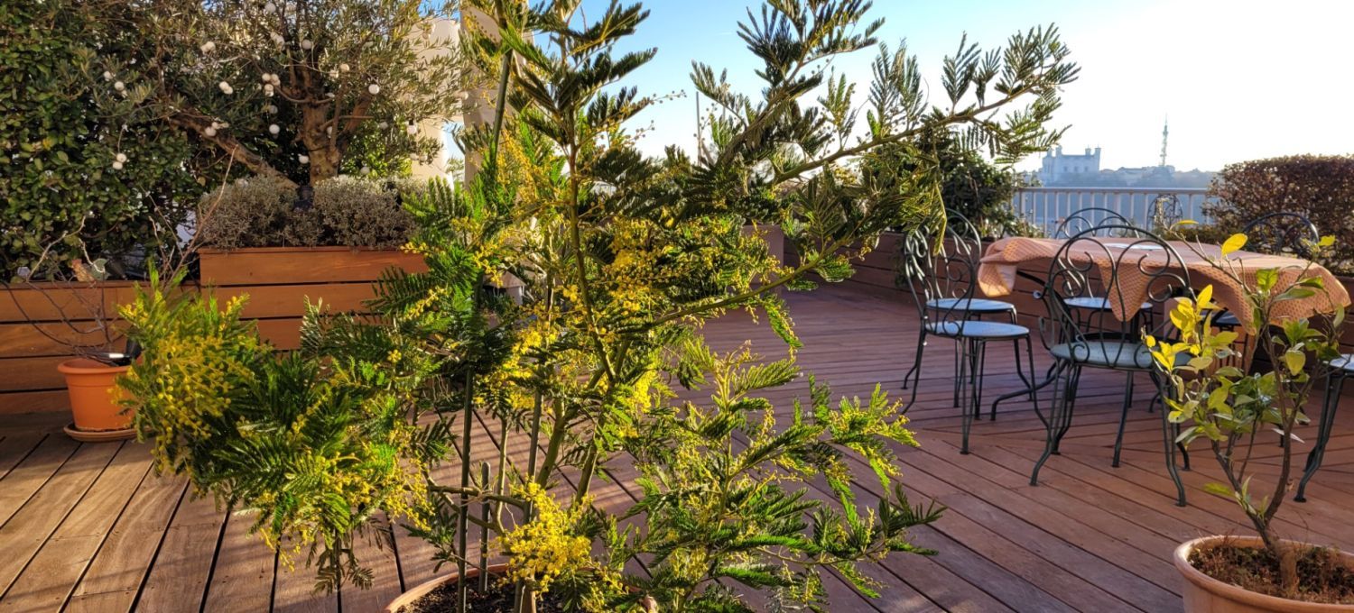 100 m² terrace with panoramic view of Lyon