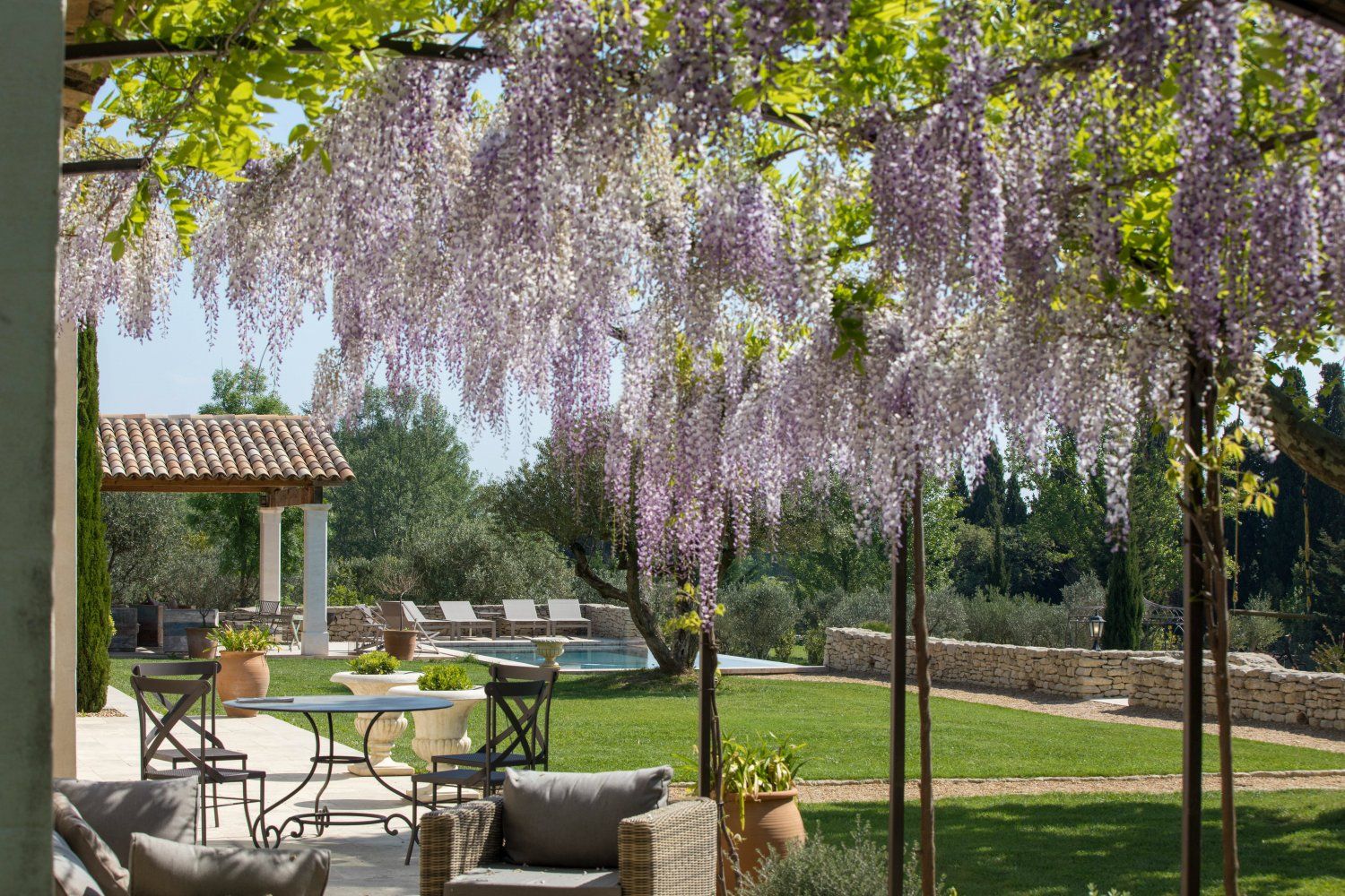 Luxury Villa