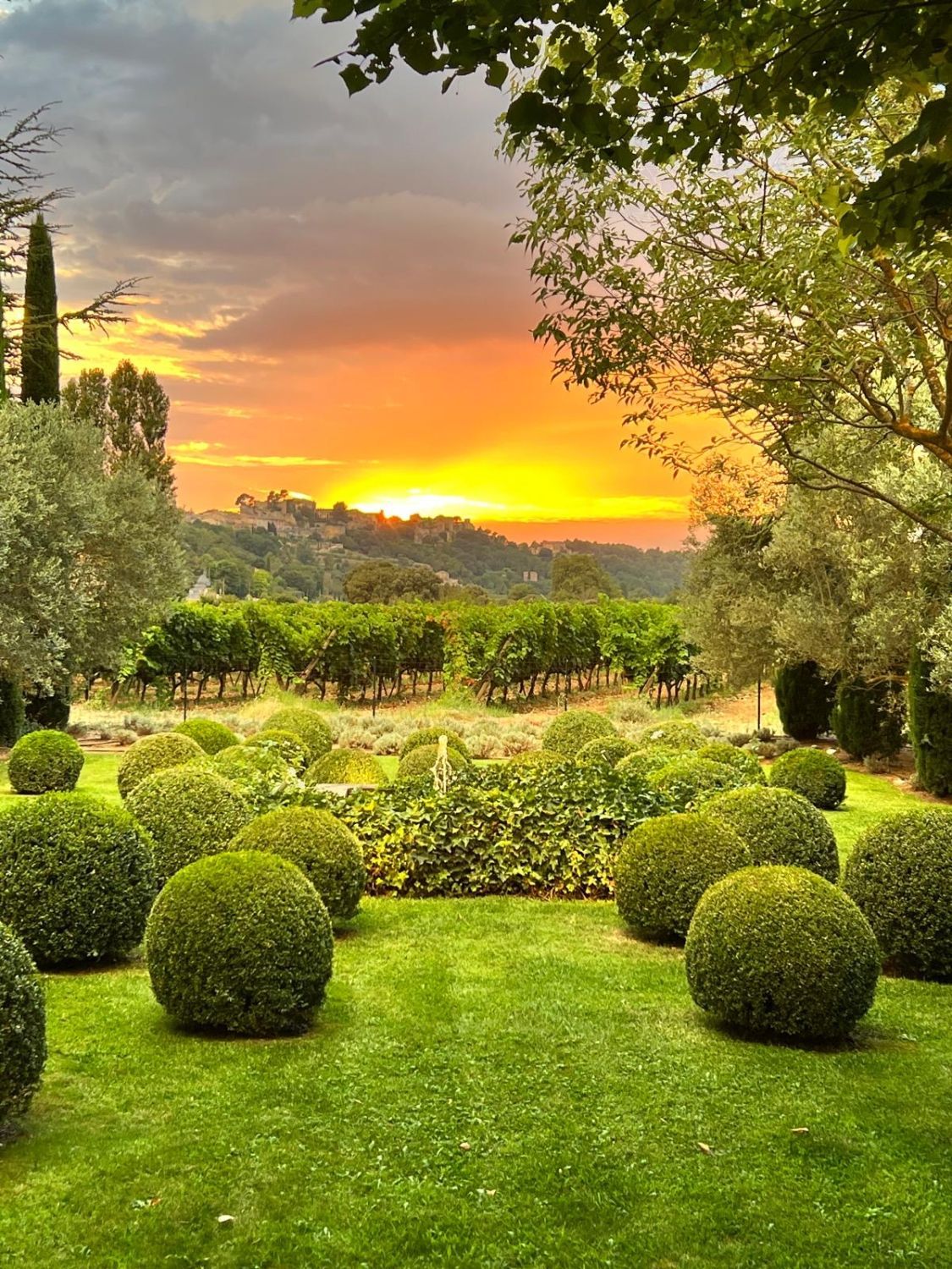 Provencal farmhouse in the Luberon