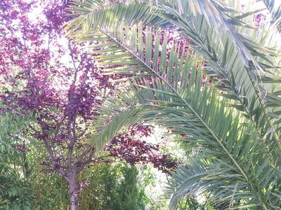 Grande villa 13 couchages avec piscine 