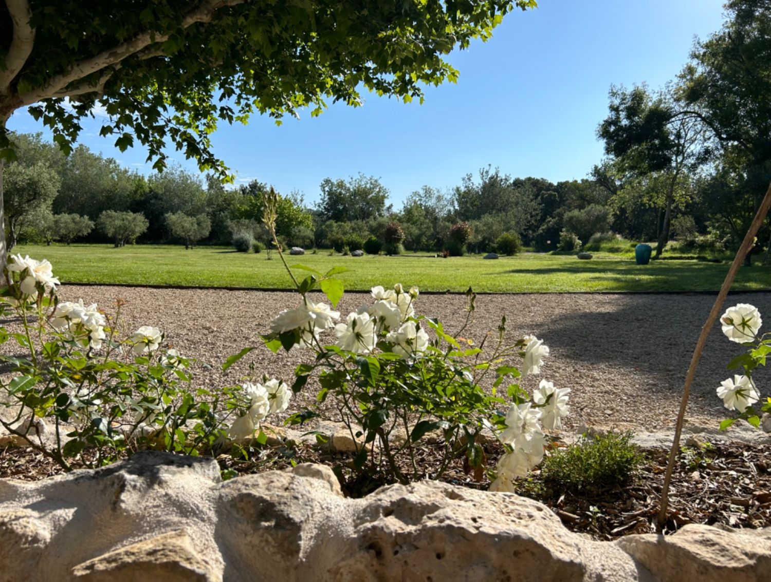 Provencal farmhouse