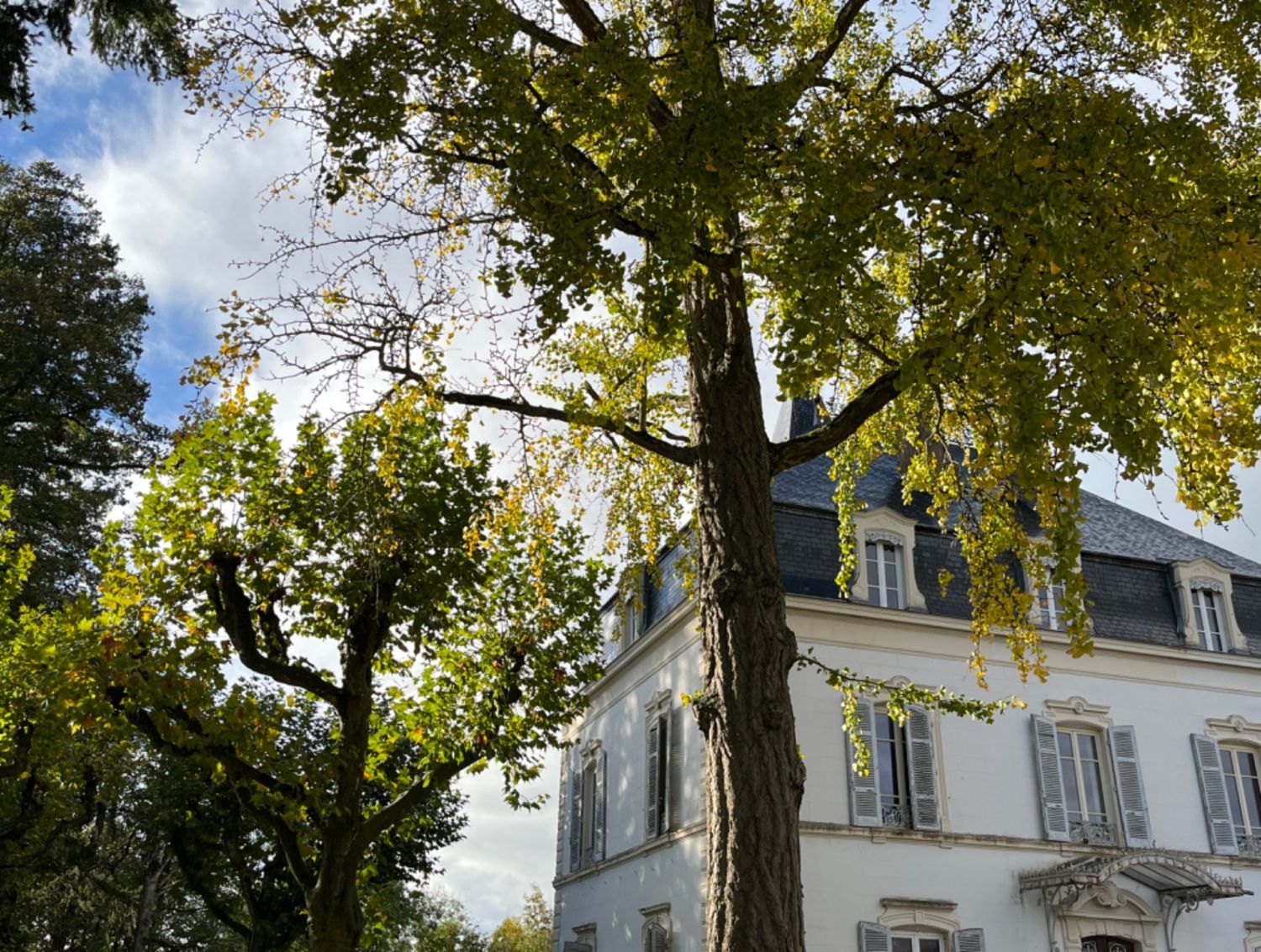 Seminars at the 19th century castle in Dombes
