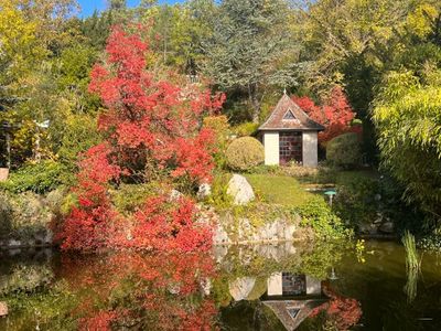 Jardin Méditatif & Retraite Bien-être en Lisière de Forêt de Fontainebleau