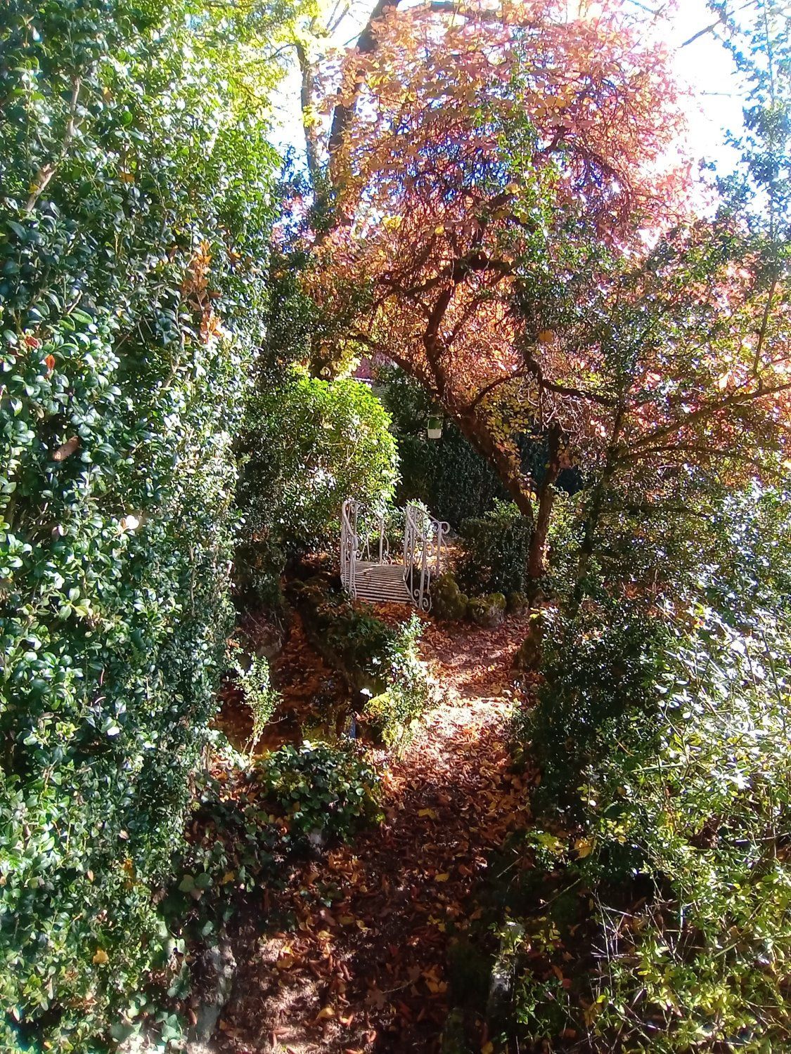 Jardin Méditatif & Retraite Bien-être en Lisière de Forêt de Fontainebleau