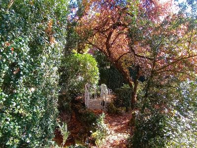 Jardin Méditatif & Retraite Bien-être en Lisière de Forêt de Fontainebleau