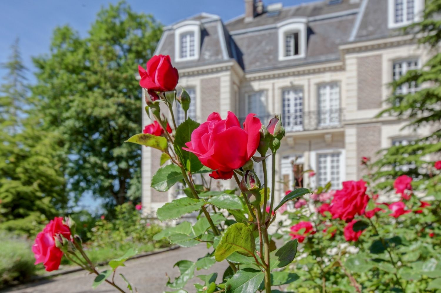Charming castle with a huge garden