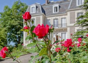 Charming castle with a huge garden