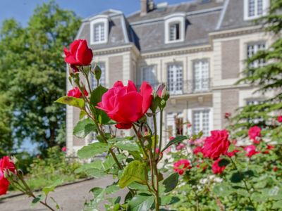 Charming castle with a huge garden