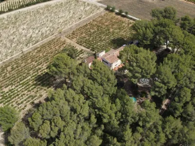 Provençal Farmhouse with Pool & Vineyard Views for Events