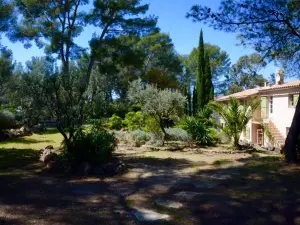 Provençal Farmhouse with Pool & Vineyard Views for Events