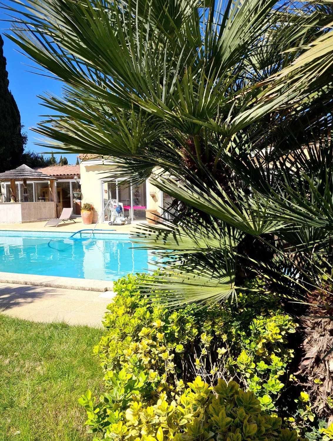 Extérieur exceptionnel, cascade piscine pool house et oliveraie 