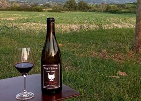 Luxury Stone Outbuilding for Events in Luberon