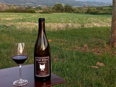 Luxury Stone Outbuilding for Events in Luberon