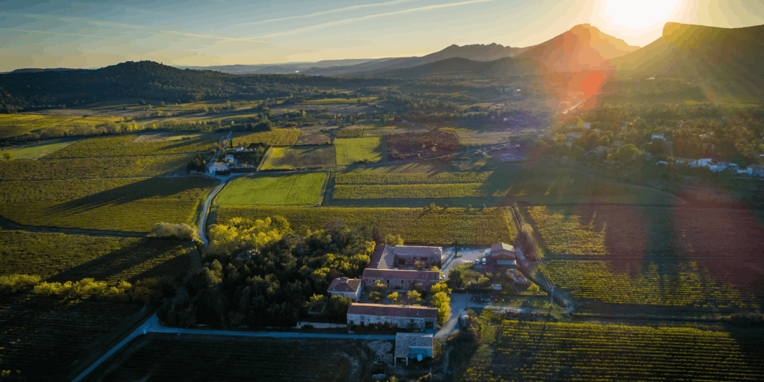 Domaine viticole architectural dans le Pic St Loup