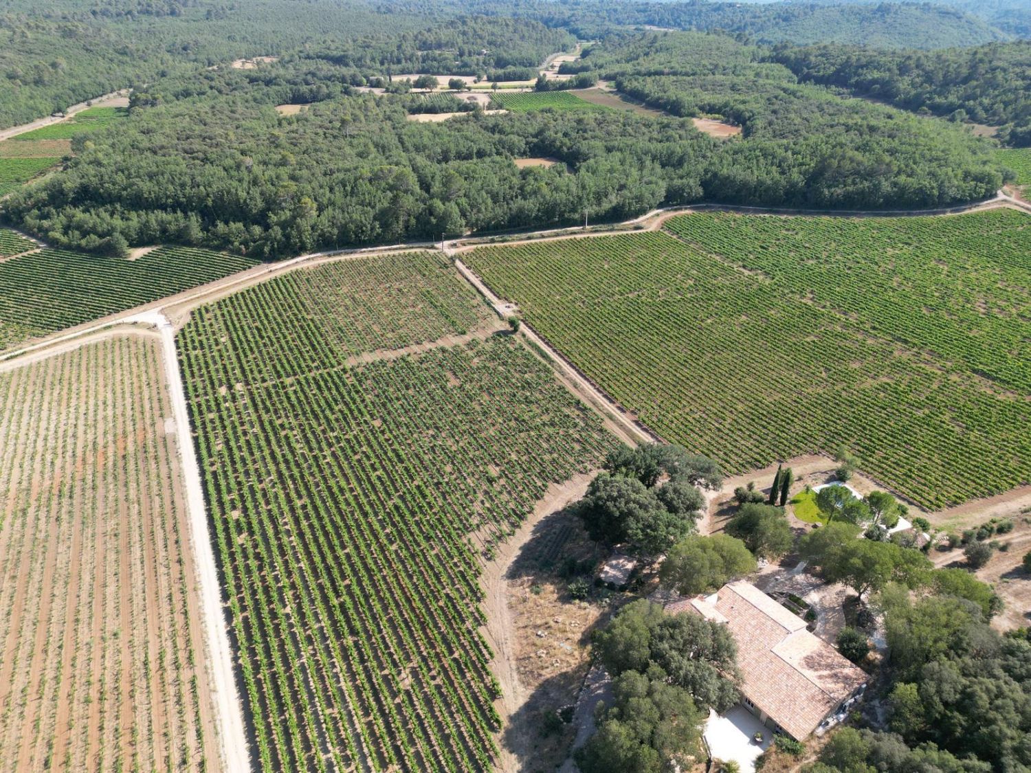 Lieu de réception au milieu des vignes