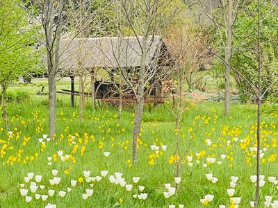 Bright Villa with Vercors View & Garden in Charmes-sur-Rhône