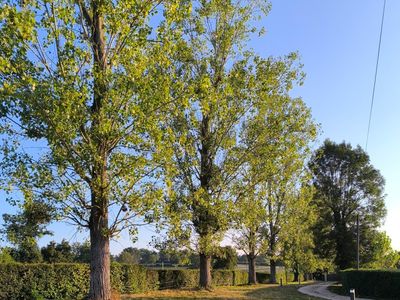 450 m² house in the countryside 