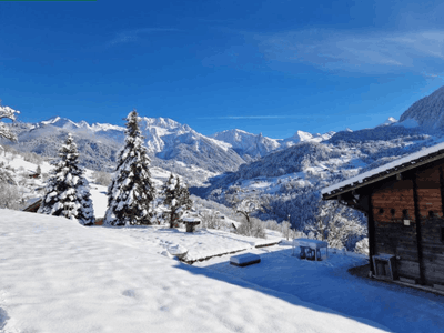 Mountain chalet with panoramic view
