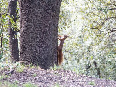 Scenic Cannes Hotel for Events with Garden & 94 Rooms
