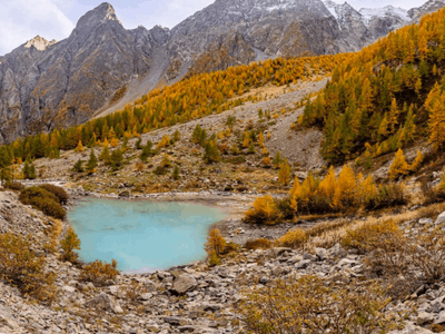Old farmhouse renovated as a B&B and workplace: warm Alpine atmosphere