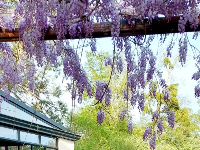 Authentic Hunting Lodge in Chardonnay for Events & Holidays