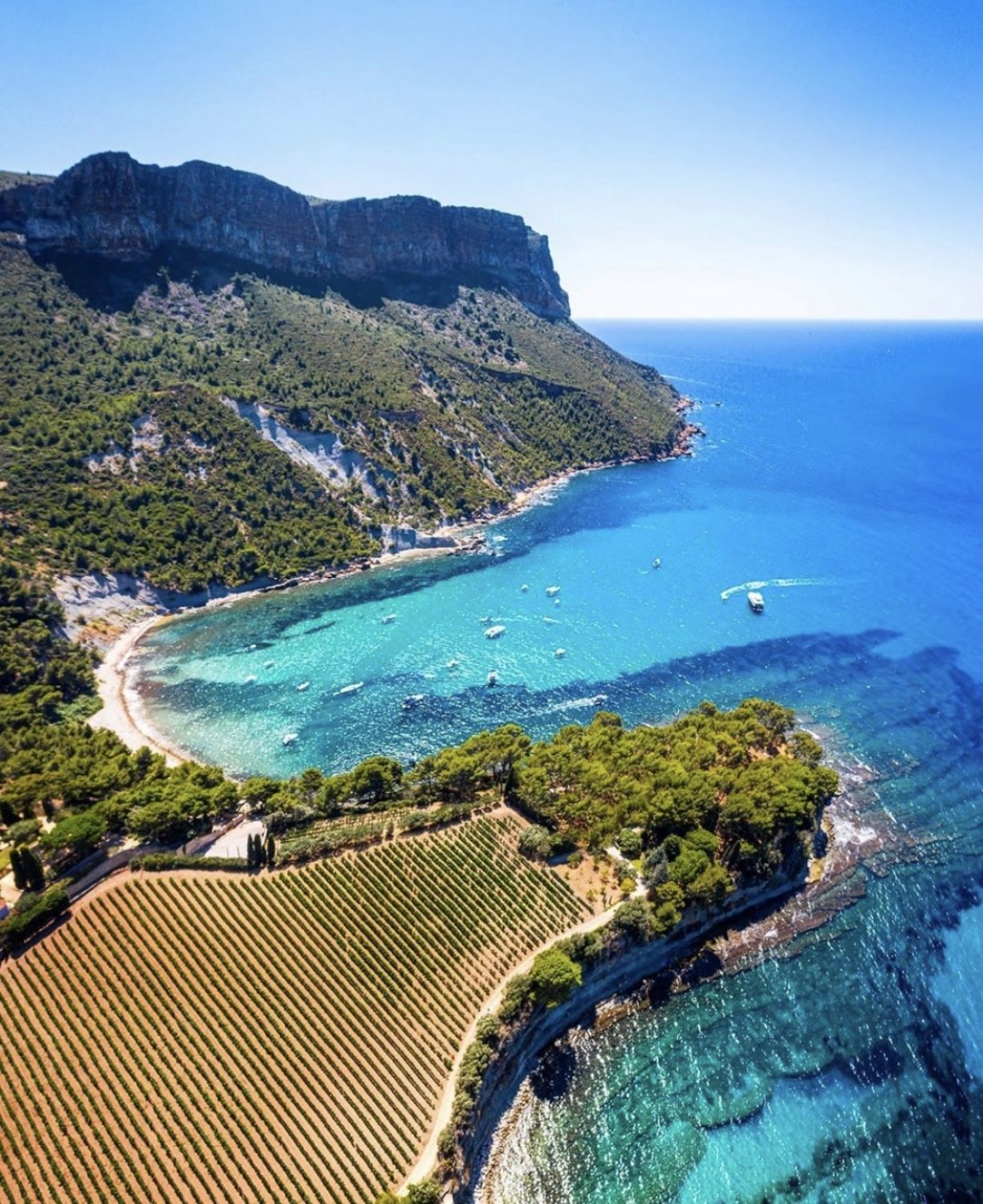 Stunning Domaine in Cassis