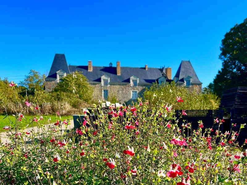 Château médiéval en Mayenne