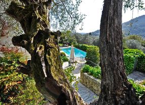 Bastide (140m2) with swimming pool and jacuzzi in the heart of a century-old olive grove