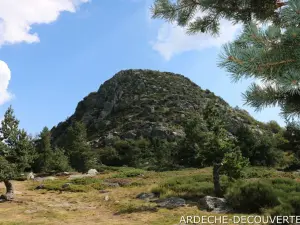 Maison d'hôtes sur l'Axe Paris/Sud au cœur de l'Ardèche verte