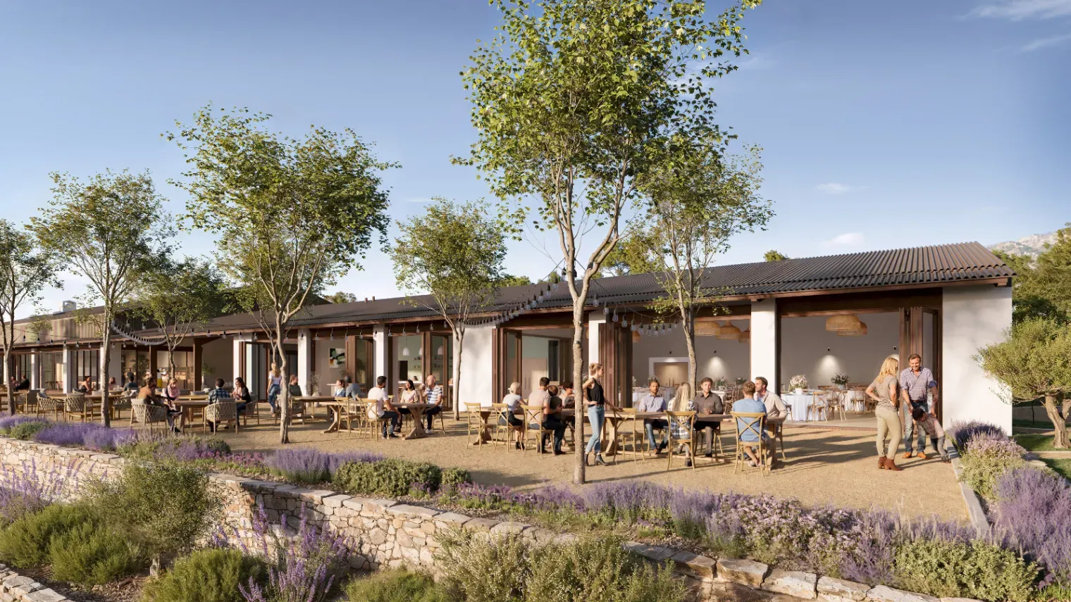 Event Venue in Provence | Olive Grove Estate Room & Terrace
