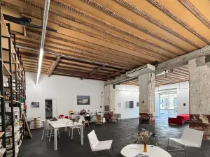 Art gallery for privatisation