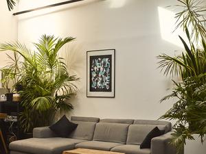 Studio Photo Showroom