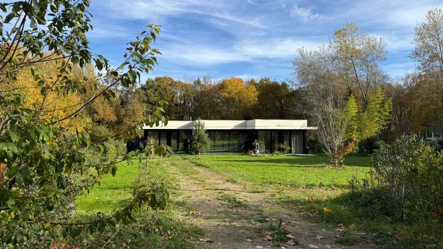 Architect-designed house with spectacular forest views