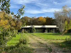 Architect-designed house with spectacular forest views