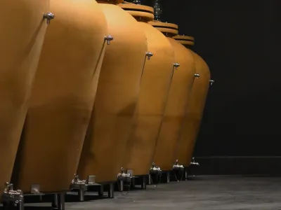 Awakening the senses in the heart of the vineyards